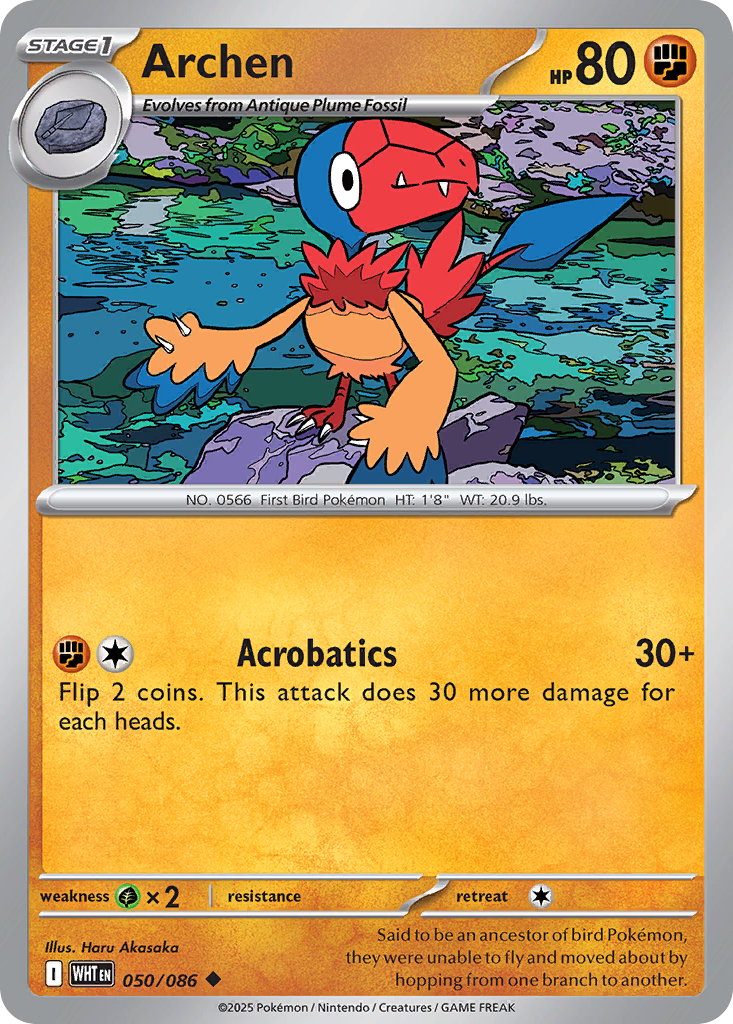 Archen 50 / 86