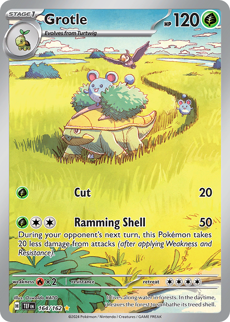Grotle 164 / 162