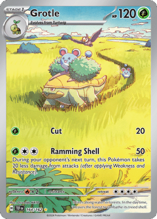 Grotle 164 / 162