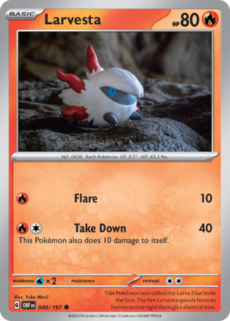 Larvesta 40 / 197