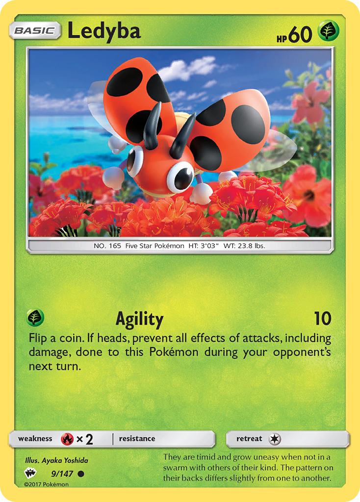 Ledyba 9 / 147