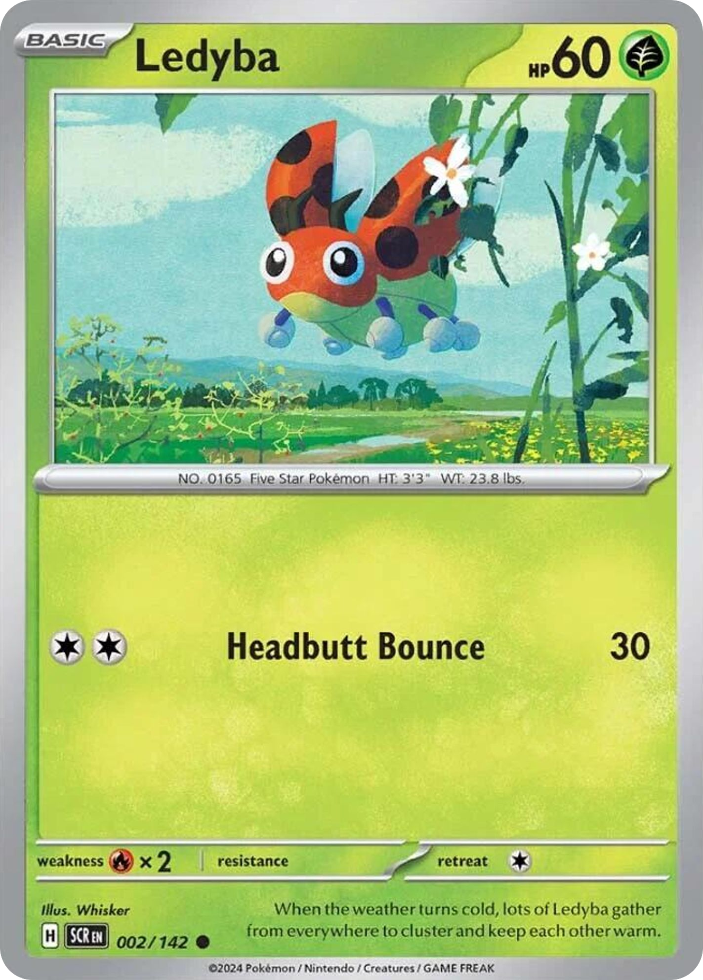 Ledyba 2 / 142