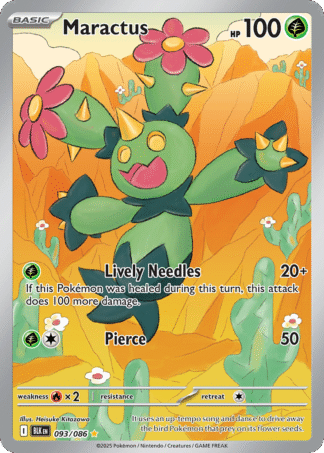 Maractus 93 / 86