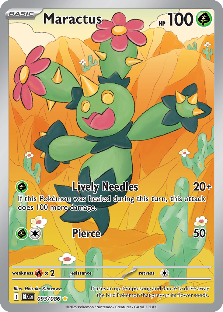 Maractus 93 / 86