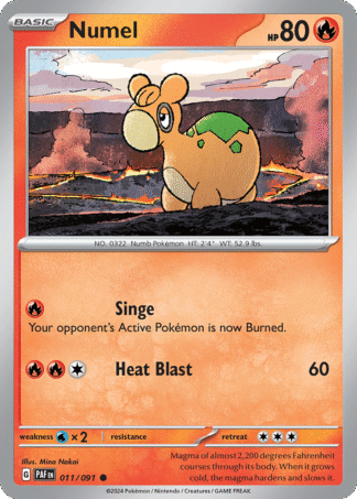 Numel 11 / 91