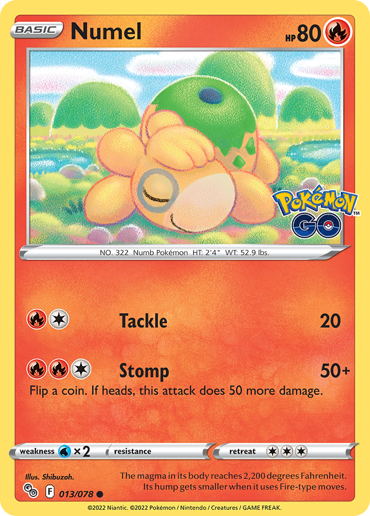 Numel 13 / 78
