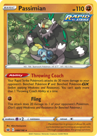 Passimian 88 / 198