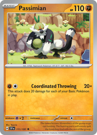 Passimian 111 / 191