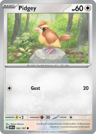 Pidgey 162 / 197