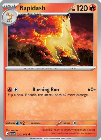 Rapidash 20 / 142