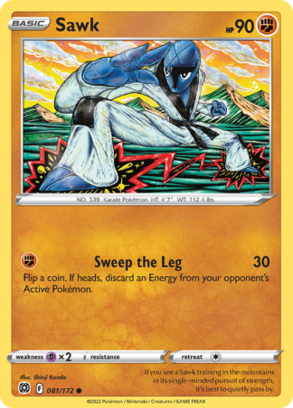 Sawk 81 / 172