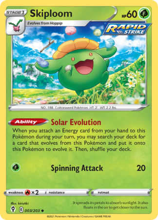 Skiploom 3 / 203