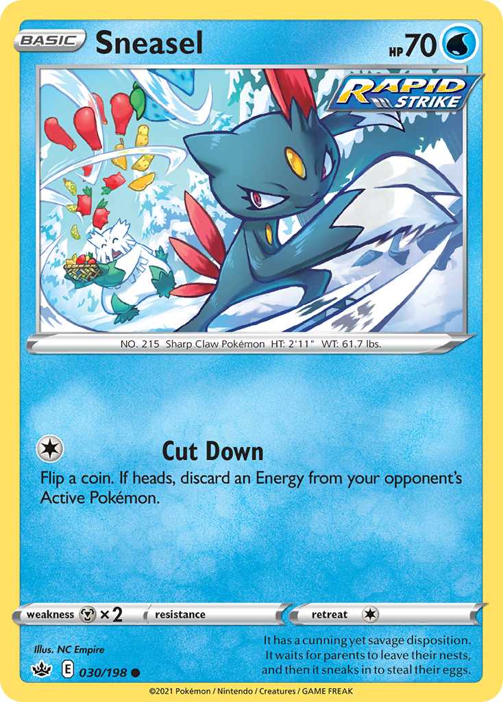 Sneasel 30 / 198