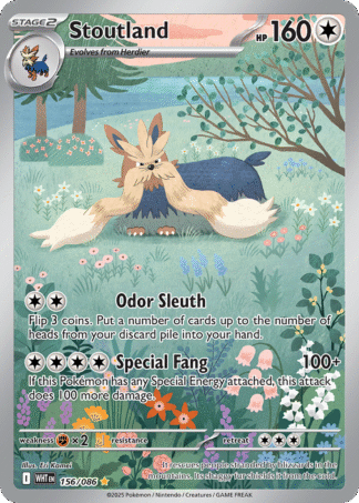 Stoutland 156 / 86