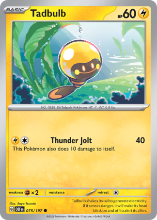Tadbulb 75 / 197