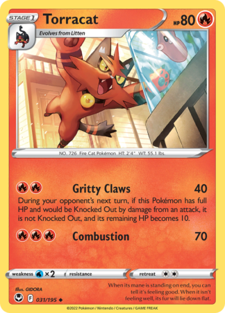 Torracat 31 / 195