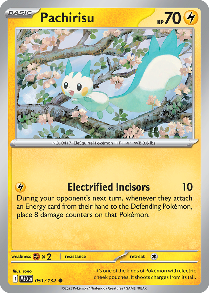 Pachirisu 51 / 132