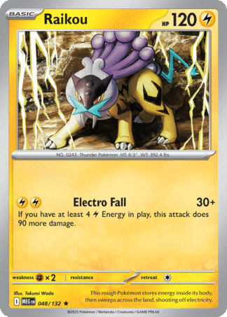Raikou 48 / 132