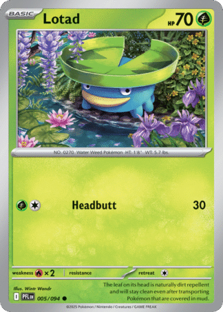 Lotad 5 / 94