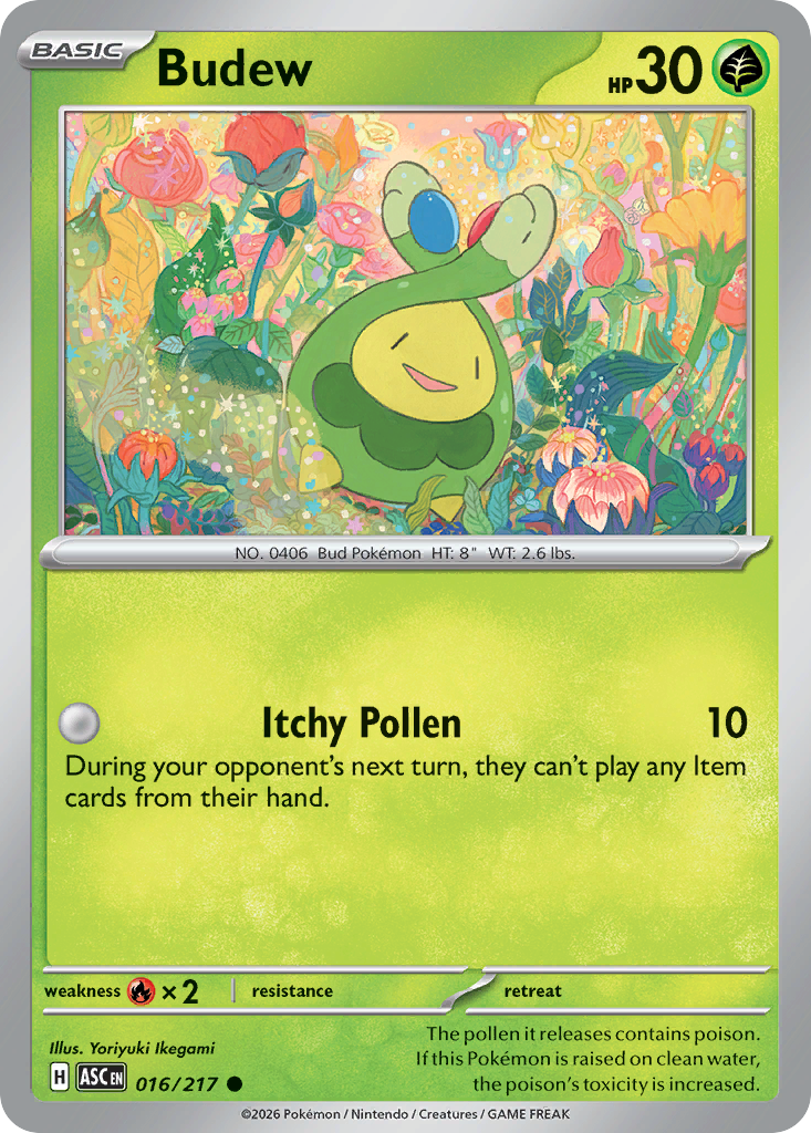 Budew 16 / 217
