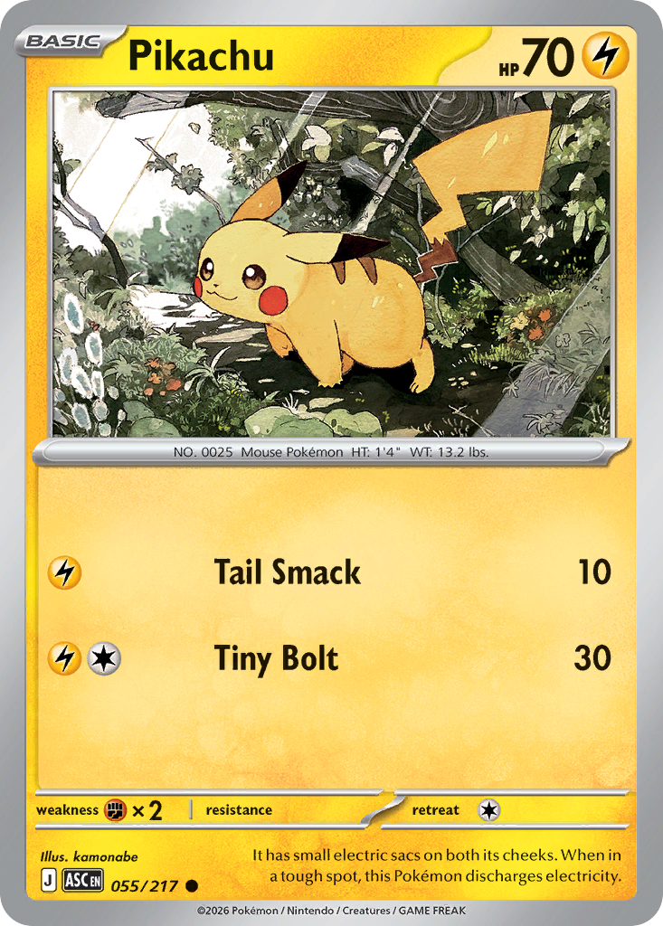 Pikachu 55 / 217