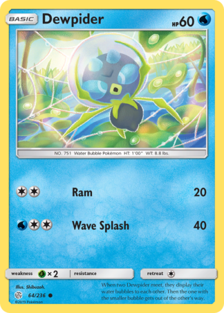 Dewpider 64 / 236