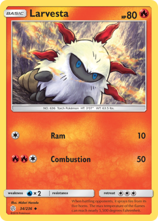 Larvesta 34 / 236