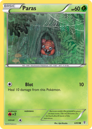 Paras 6 / 83