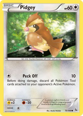 Pidgey 75 / 106