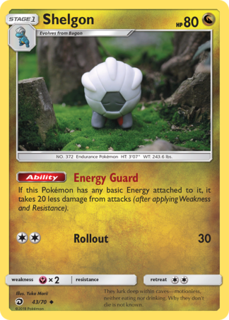 Shelgon 43 / 70