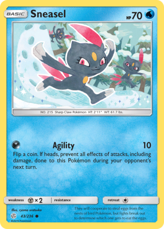Sneasel 43 / 236