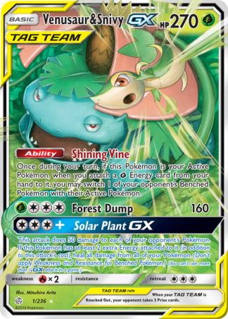 Venusaur & Snivy-GX 1 / 236