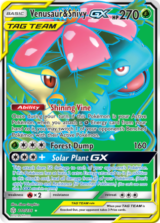 Venusaur & Snivy-GX 210 / 236