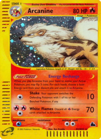 Arcanine H2 / 144