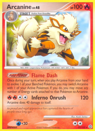 Arcanine 22 / 132