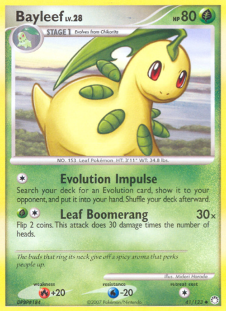 Bayleef 41 / 123