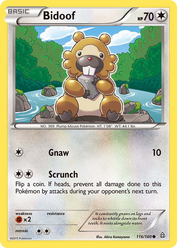 Bidoof 116 / 160