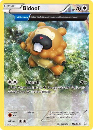 Bidoof 117 / 160