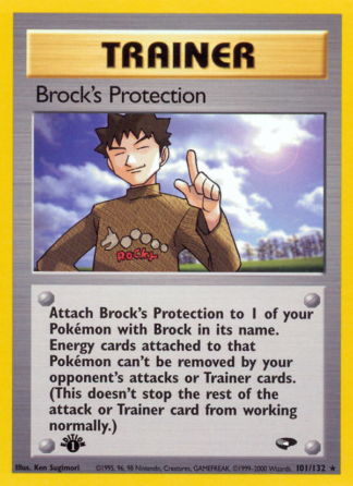 Brock's Protection 101 / 132
