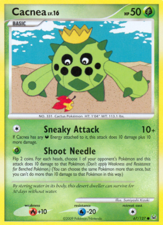 Cacnea 67 / 127