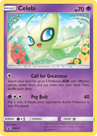 Celebi SM224 / 248