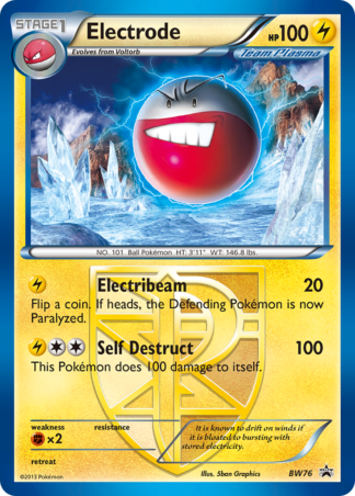Electrode BW76 / 101