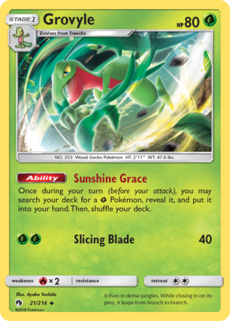 Grovyle 21 / 214