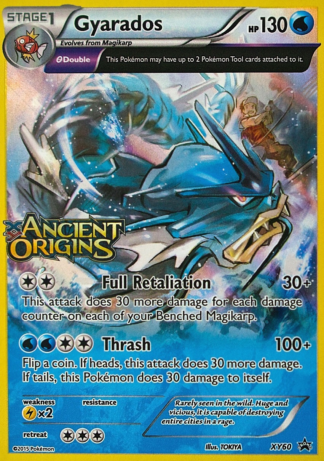 Gyarados XY60 / 211