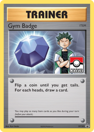 Gym Badge XY203 / 211