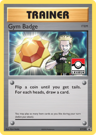 Gym Badge XY205 / 211