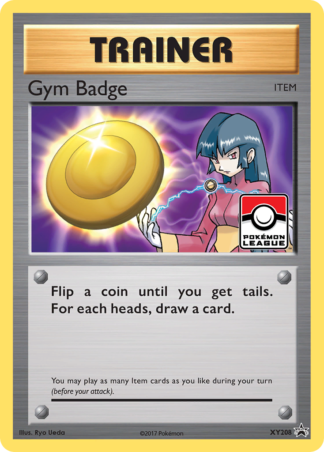 Gym Badge XY208 / 211