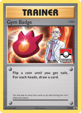 Gym Badge XY209 / 211