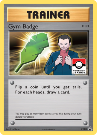 Gym Badge XY210 / 211