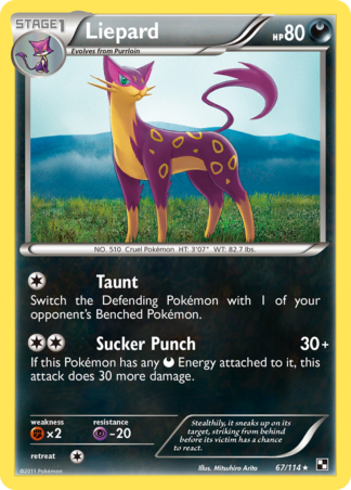 Liepard 67 / 114
